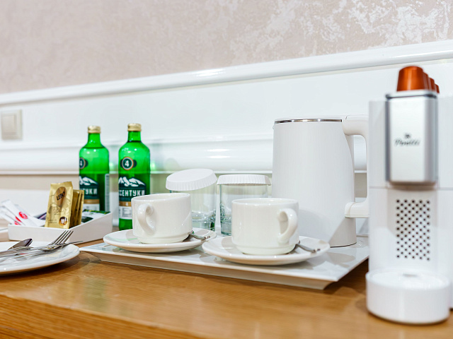 Номер «Президентский Сюит»